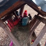phoca_thumb_m_ke krmelci 12 Fotogalerie